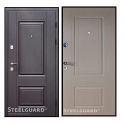 Двері Steelguard DO-30 